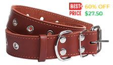 brown-leather-dog-collar-isolated-white 1 (1)