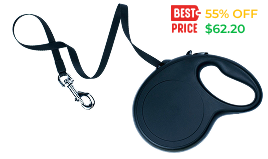 leash-dogs 1 (1)